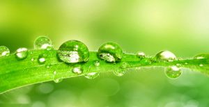 Clearing – Entfernen negativer Energien