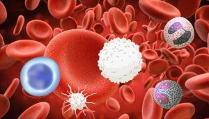 Natürliche, energetische Ausleitung von Schadstoffen